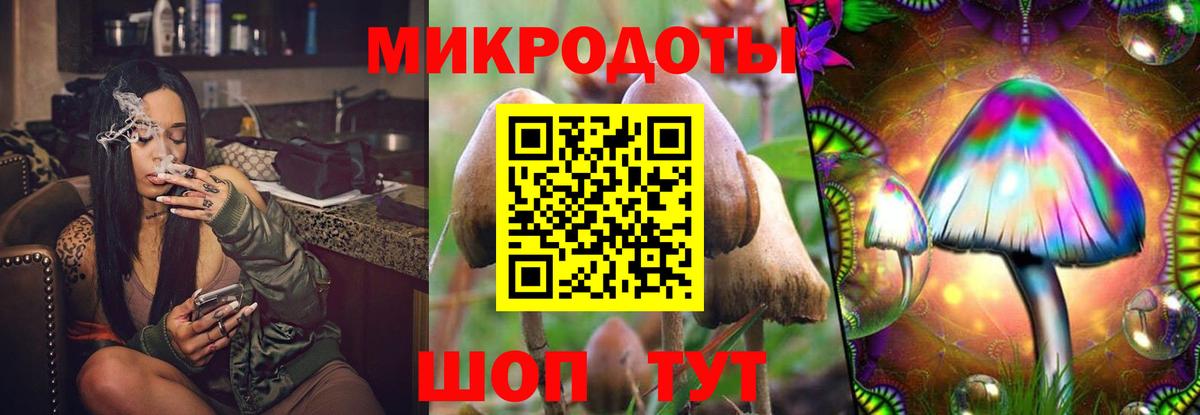 Псилоцибиновые грибы Psilocybine cubensis  Вход с VPN  Черкесск 